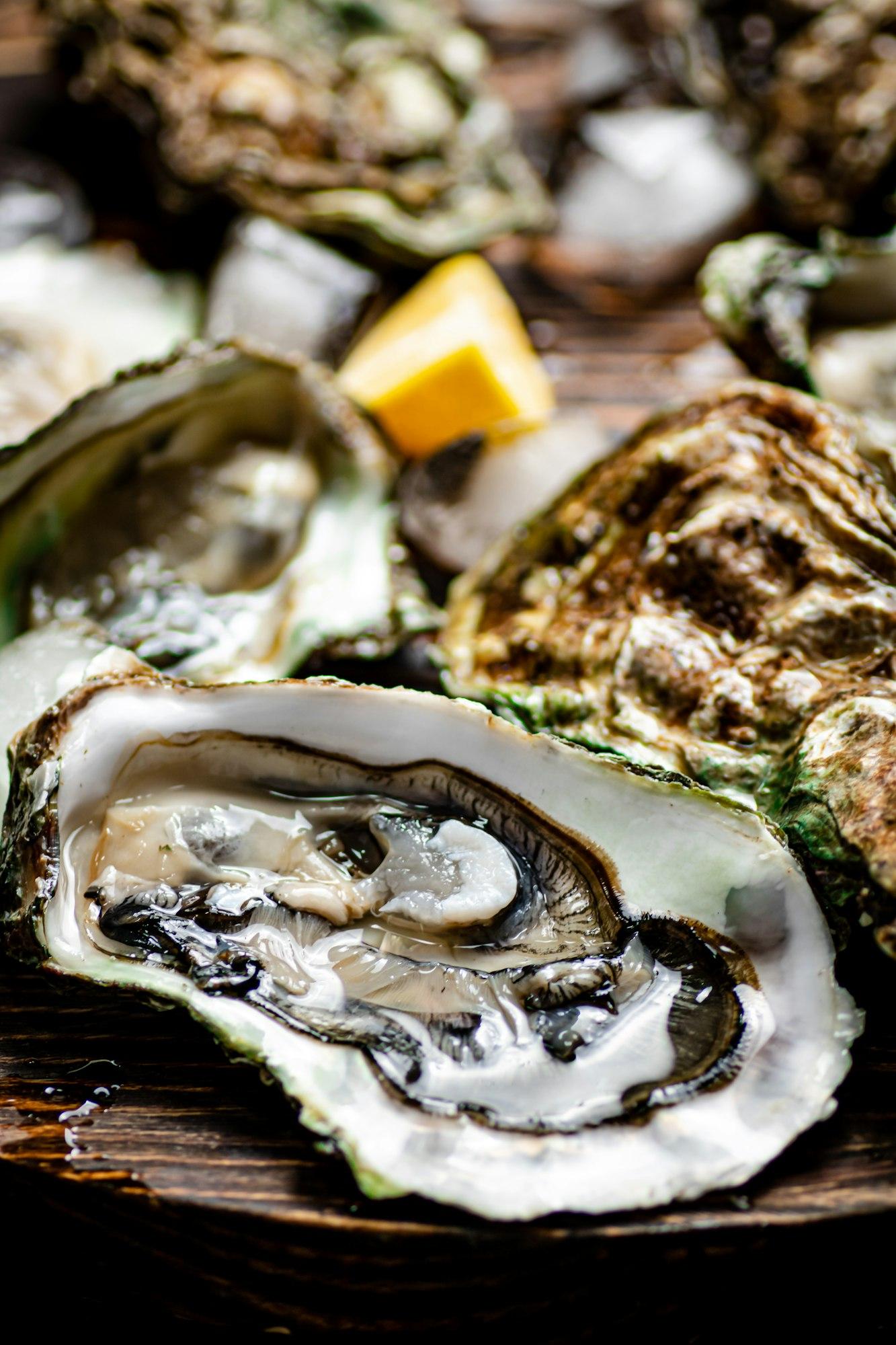 Delicious oysters. Macro background. The texture of oysters.